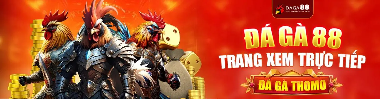 Đá Gà 566 – Sân Chơi Cá Cược Trực Tuyến Hàng Đầu